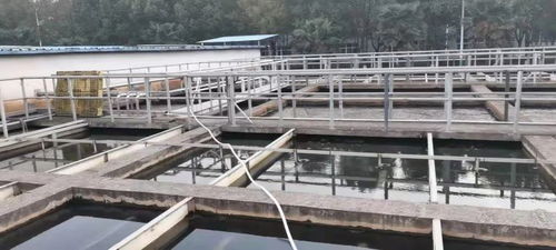 湖北银鹭食品污水处理厂应用上海富晨材料十年后的回访
